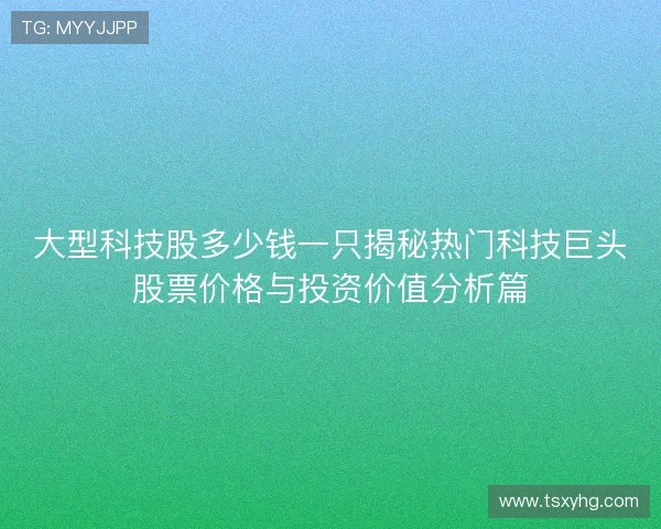 大型科技股多少钱一只揭秘热门科技巨头股票价格与投资价值分析篇 大型科技股多少钱一只揭秘热门科技巨头股票价格与投资价值分析篇